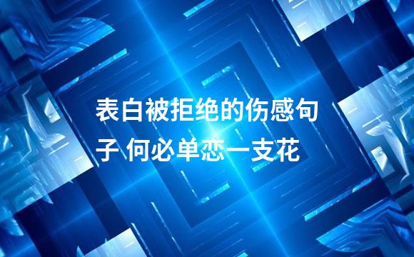 表白被拒绝的伤感句子 何必单恋一支花